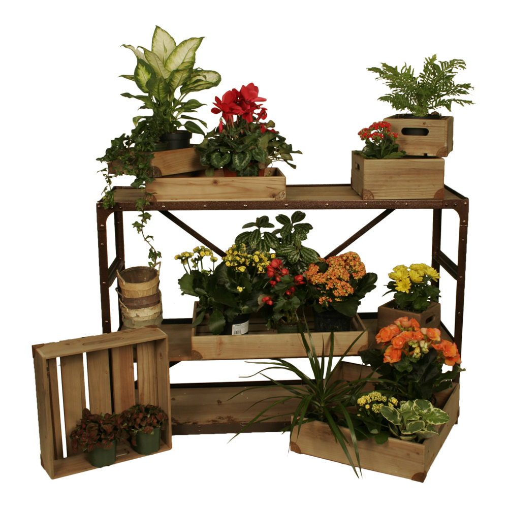WaldImports Weathered Rectangular Plant Stand Wayfair.ca